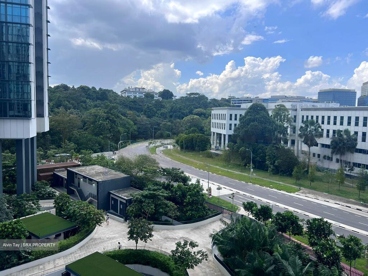Normanton Park (D5), Apartment #455058071